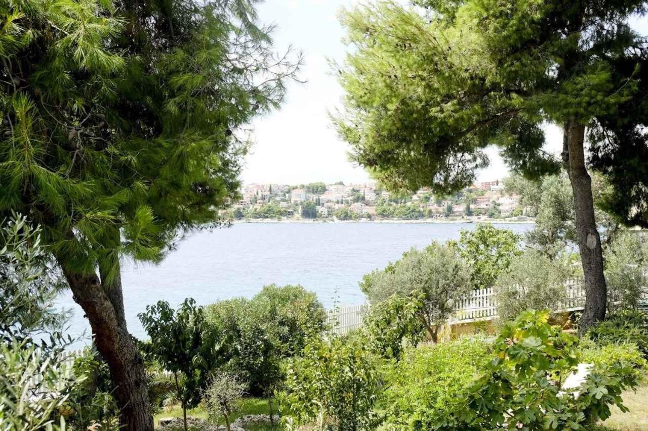 טרוגיר Apartments Paulina מראה חיצוני תמונה